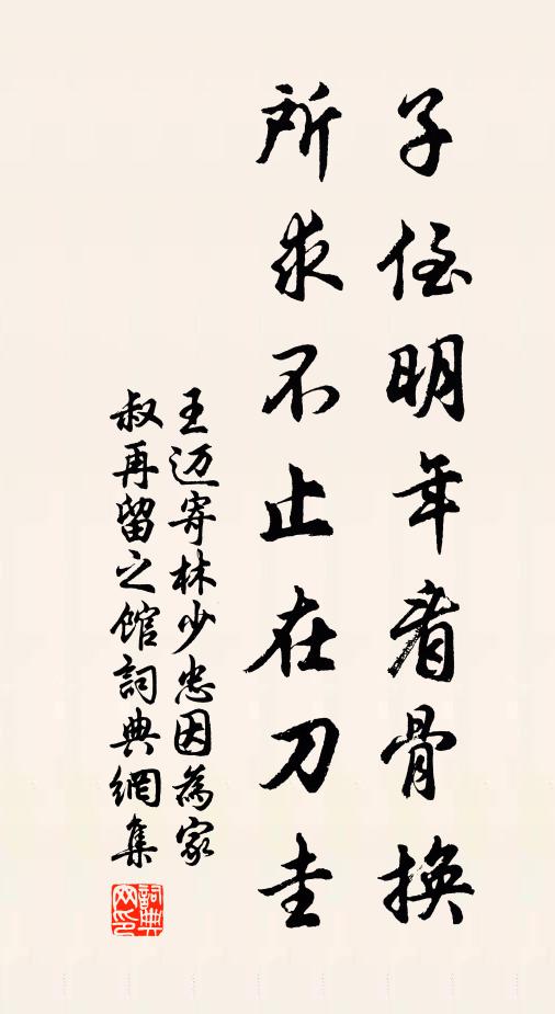 王迈子侄明年看骨换，所求不止在刀圭书法作品欣赏