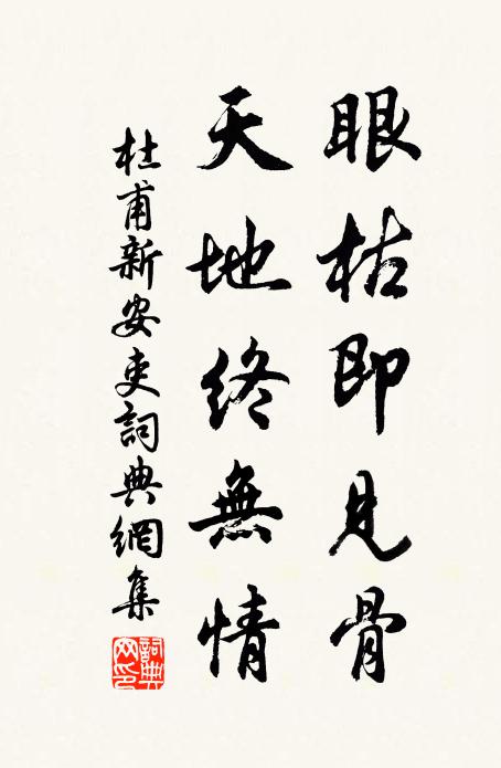杜甫眼枯即见骨，天地终无情书法作品欣赏