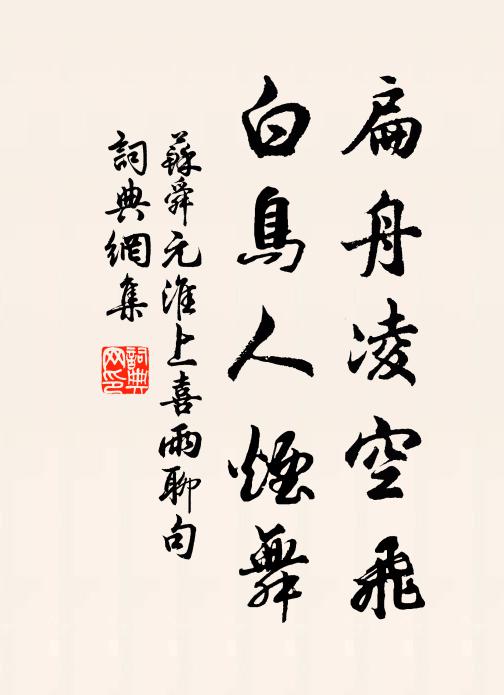 苏舜元扁舟凌空飞，白鸟人烟舞书法作品欣赏