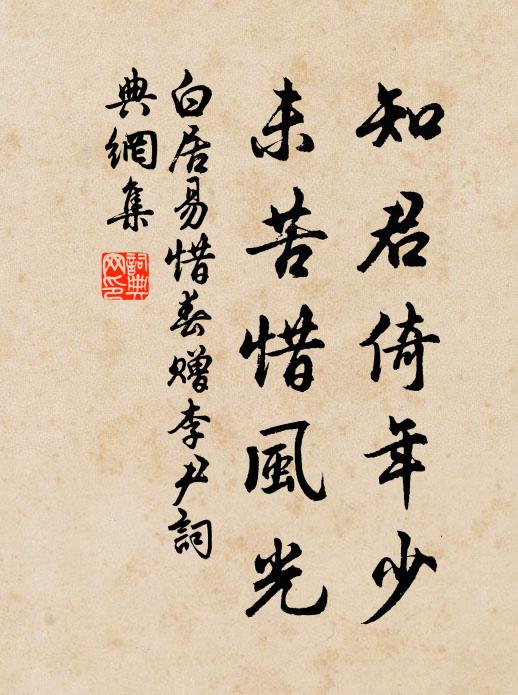 白居易知君倚年少，未苦惜风光书法作品欣赏