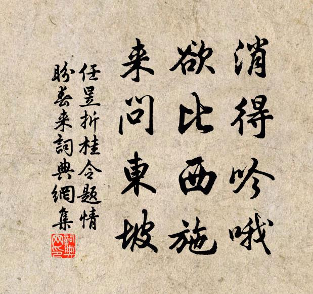 任昱消得吟哦，欲比西施，来问东坡书法作品欣赏