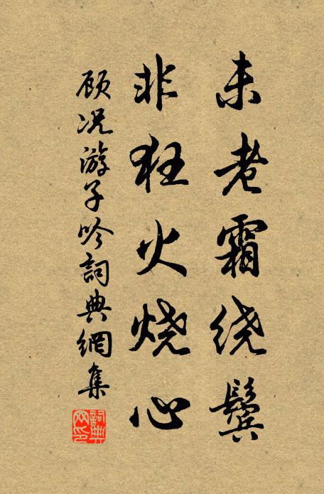 顾况未老霜绕鬓,非狂火烧心书法作品欣赏