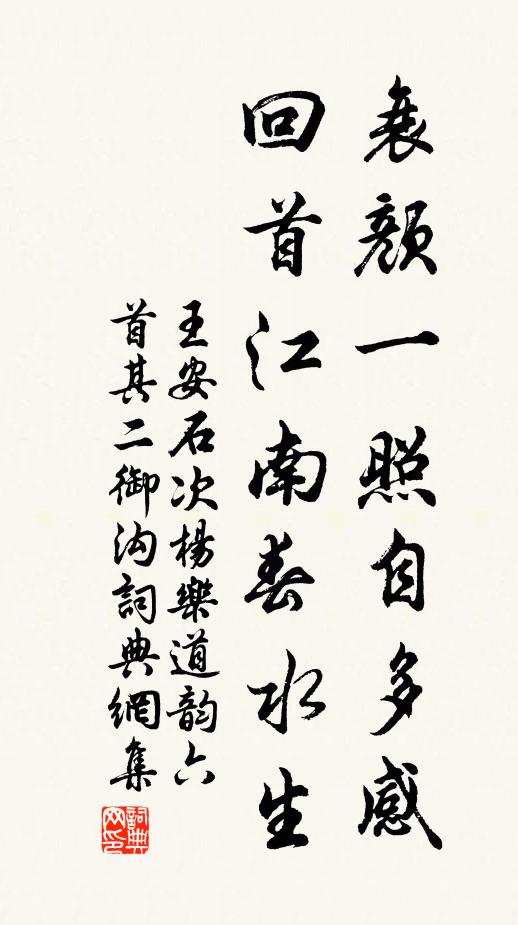 王安石衰颜一照自多感，回首江南春水生书法作品欣赏