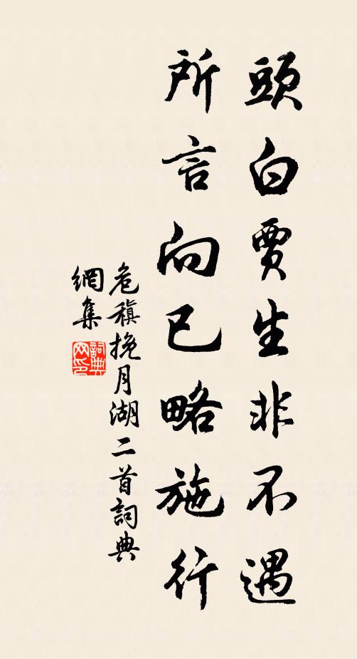 危稹头白贾生非不遇，所言向已略施行书法作品欣赏