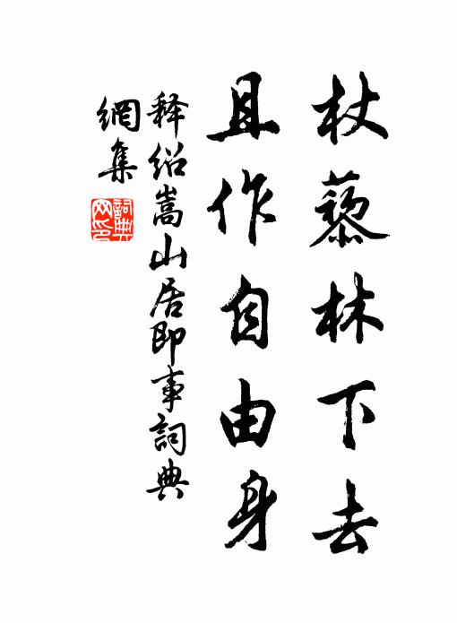释绍嵩杖藜林下去，且作自由身书法作品欣赏