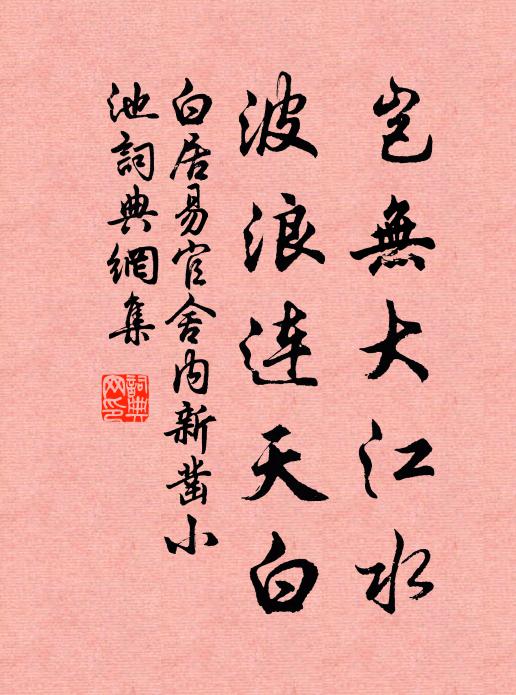 白居易岂无大江水，波浪连天白书法作品欣赏