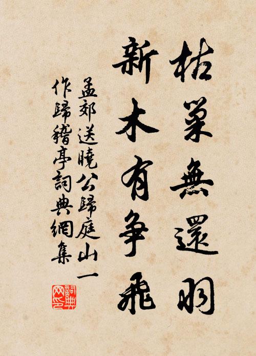 孟郊枯巢无还羽，新木有争飞书法作品欣赏