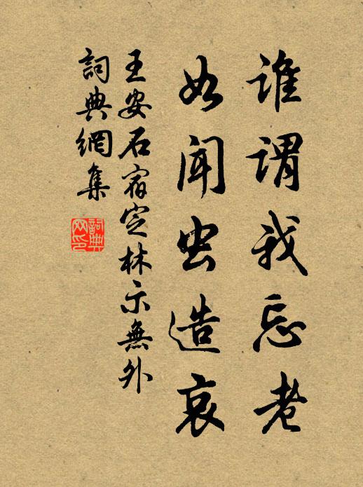 王安石谁谓我忘老，如闻虫造哀书法作品欣赏