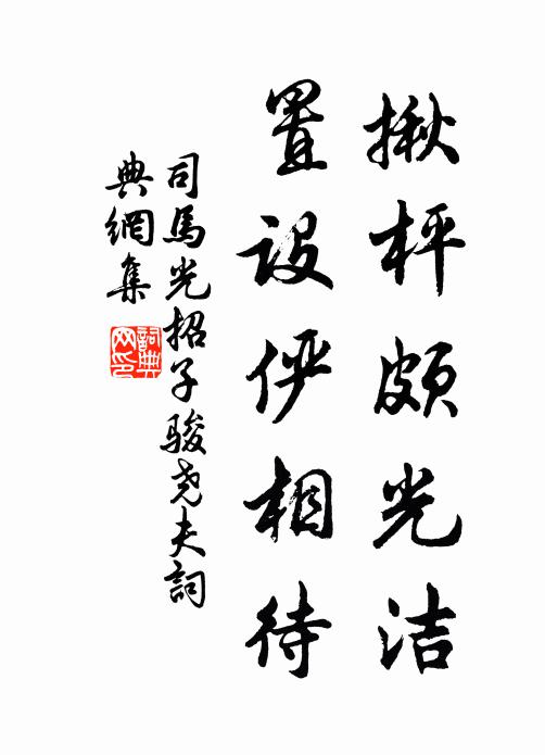 司马光揪枰颇光洁，置设俨相待书法作品欣赏