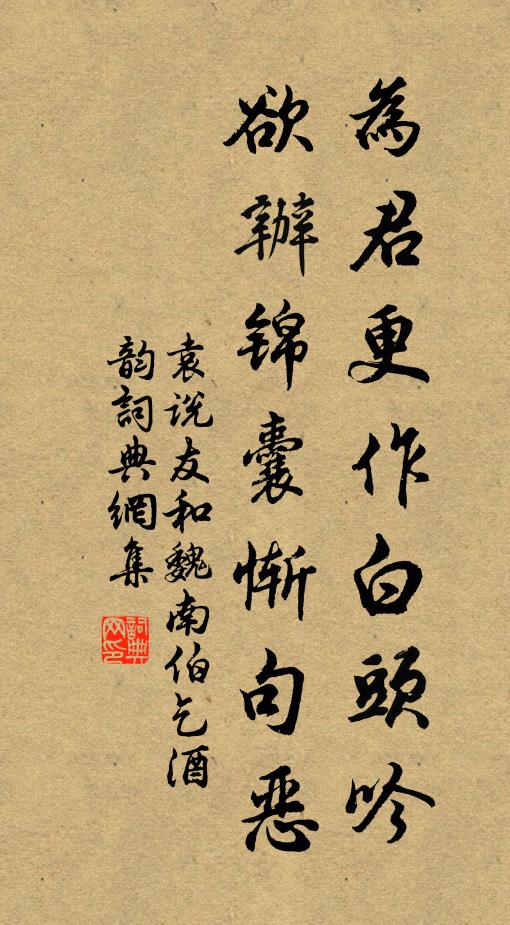 袁说友为君更作白头吟，欲办锦囊惭句恶书法作品欣赏
