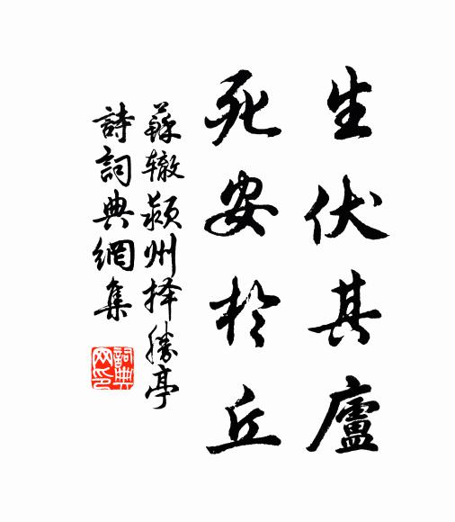 苏辙生伏其庐,死安於丘书法作品欣赏