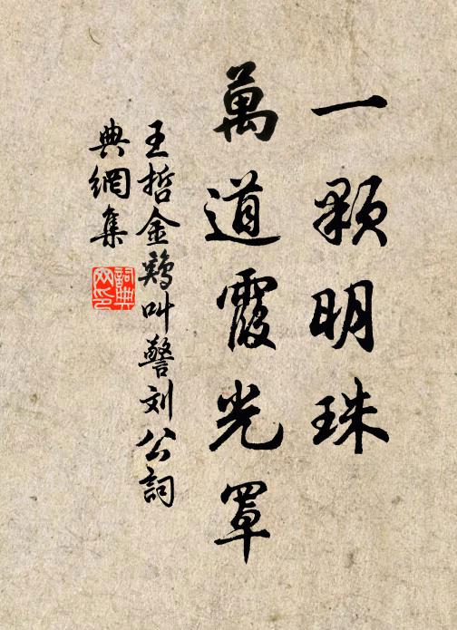 王哲一颗明珠，万道霞光罩书法作品欣赏