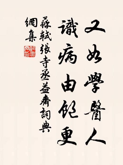 苏轼又如学医人，识病由饱更书法作品欣赏