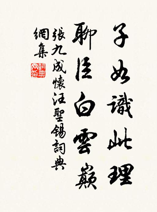 张九成子如识此理，聊臣白云巅书法作品欣赏