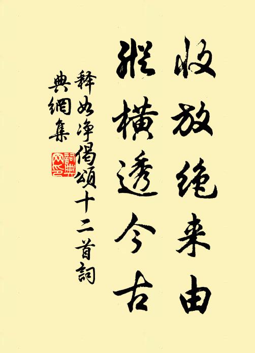 释如净收放绝来由，纵横透今古书法作品欣赏