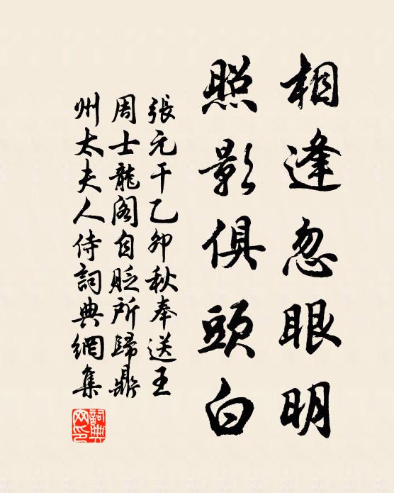 张元干相逢忽眼明，照影俱头白书法作品欣赏