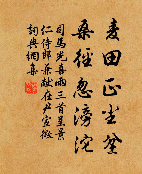 司马光麦田正尘坌，桑径忽滂沱书法作品欣赏