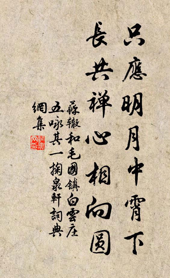 苏辙只应明月中霄下，长共禅心相向圆书法作品欣赏