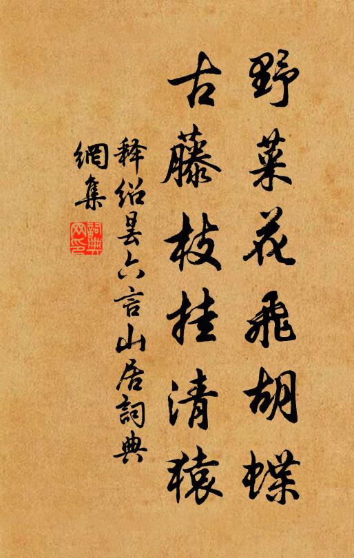 释绍昙野菜花飞胡蝶，古藤枝挂清猿书法作品欣赏