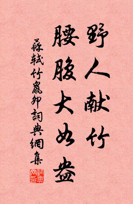 苏轼野人献竹，腰腹大如盎书法作品欣赏