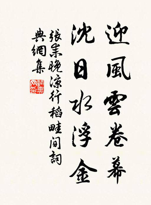 张耒迎风云卷幕，沈日水浮金书法作品欣赏