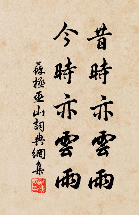 苏拯昔时亦云雨，今时亦云雨书法作品欣赏