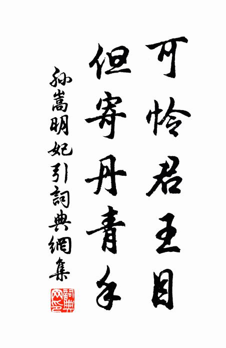 孙嵩可怜君王目，但寄丹青手书法作品欣赏