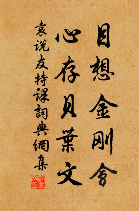 袁说友目想金刚会，心存贝叶文书法作品欣赏