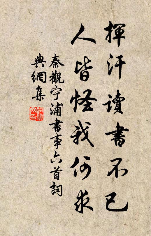 秦观挥汗读书不已，人皆怪我何求书法作品欣赏