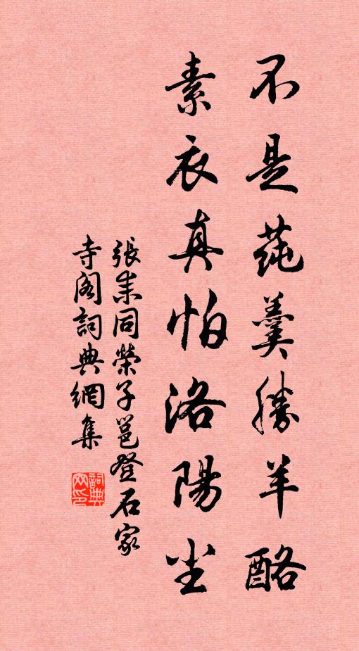 张耒不是莼羹胜羊酪，素衣真怕洛阳尘书法作品欣赏