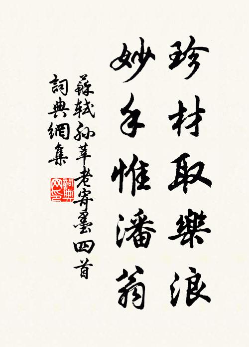 苏轼珍材取乐浪，妙手惟潘翁书法作品欣赏