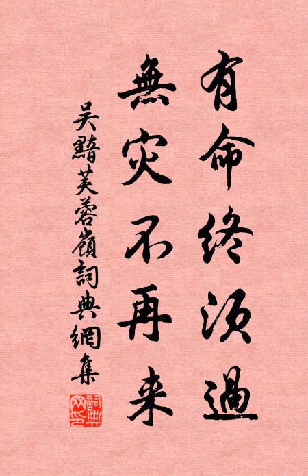 吴黯有命终须过，无灾不再来书法作品欣赏