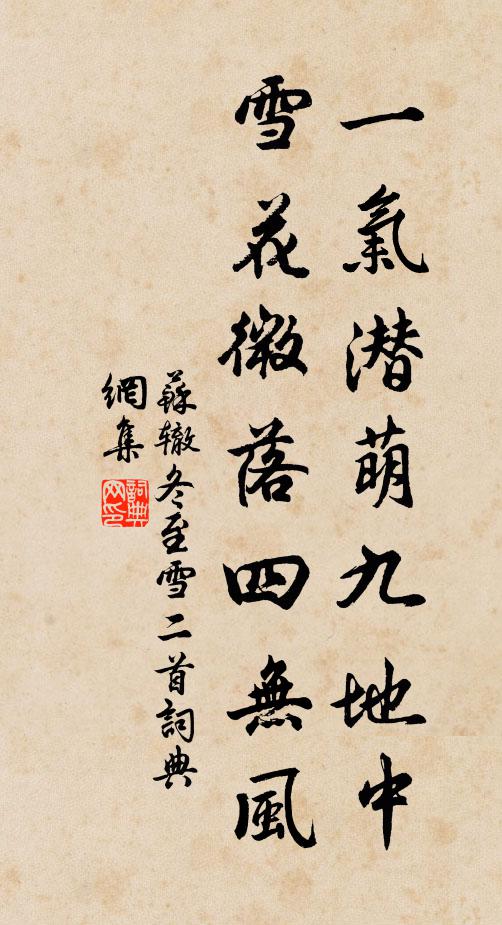 苏辙一气潜萌九地中，雪花微落四无风书法作品欣赏
