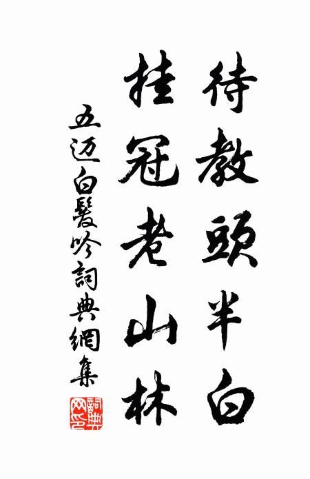 五迈待教头半白，挂冠老山林书法作品欣赏