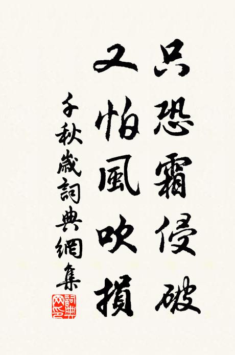 佚名只恐霜侵破，又怕风吹损书法作品欣赏