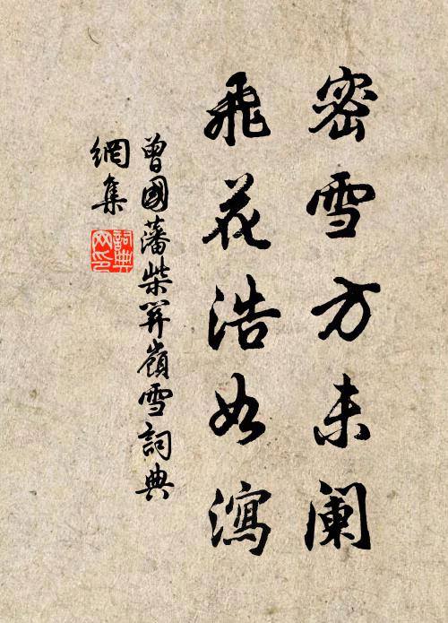 曾国藩密雪方未阑，飞花浩如泻书法作品欣赏