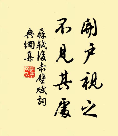 苏轼开户视之,不见其处书法作品欣赏