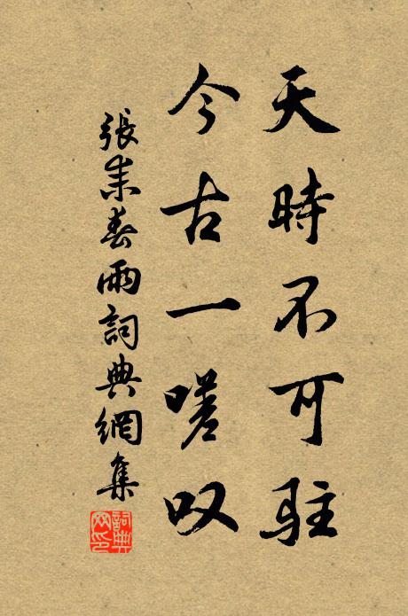 张耒天时不可驻，今古一嗟叹书法作品欣赏