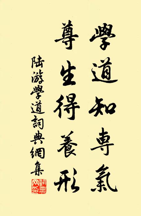 陆游学道知专气，尊生得养形书法作品欣赏