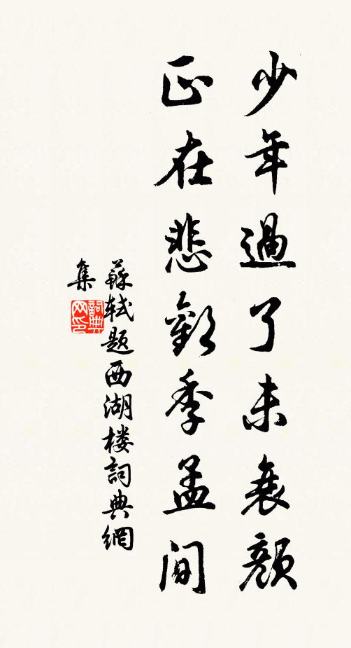 苏轼少年过了未衰颜，正在悲欢季孟间书法作品欣赏