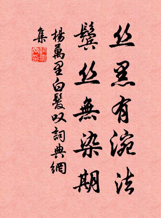 杨万里丝黑有涴法，鬓丝无染期书法作品欣赏