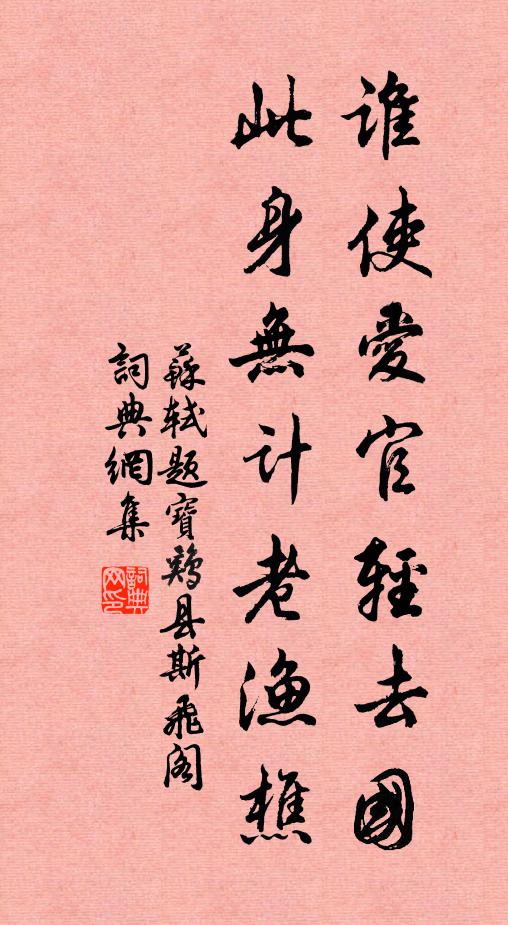 苏轼谁使爱官轻去国，此身无计老渔樵书法作品欣赏