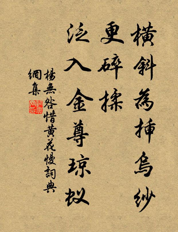 杨无咎横斜为插乌纱，更碎揉、泛入金尊琼蚁书法作品欣赏