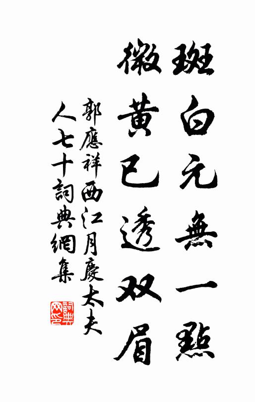 郭应祥斑白元无一点，微黄已透双眉书法作品欣赏