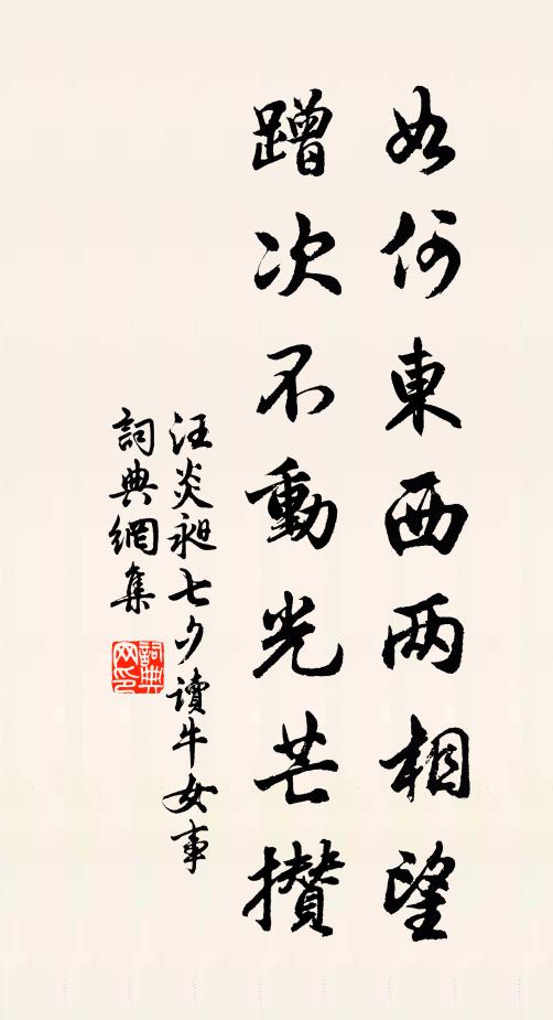 汪炎昶如何东西两相望，蹭次不动光芒攒书法作品欣赏
