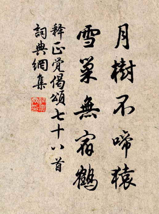 释正觉月树不啼猿，雪巢无宿鹤书法作品欣赏