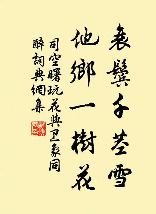 司空曙衰鬓千茎雪，他乡一树花书法作品欣赏