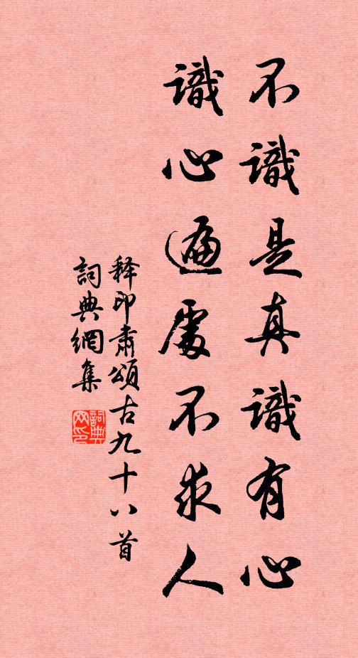 释印肃不识是真识有心，识心遍处不求人书法作品欣赏