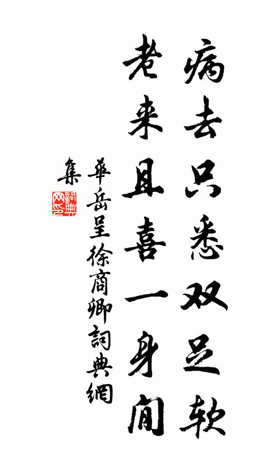 华岳病去只悉双足软，老来且喜一身閒书法作品欣赏