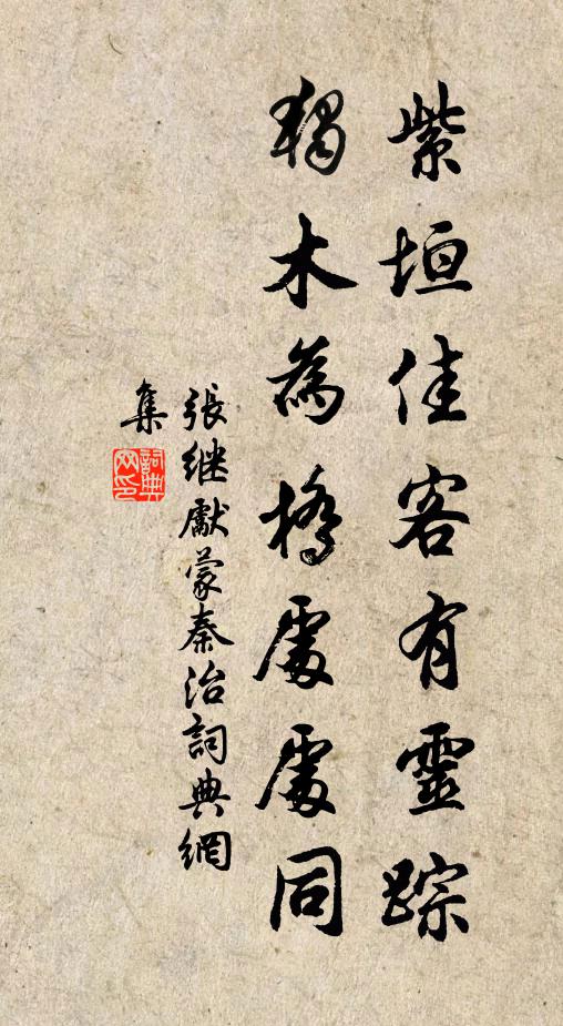 张继先紫垣佳客有灵踪，独木为桥处处同书法作品欣赏
